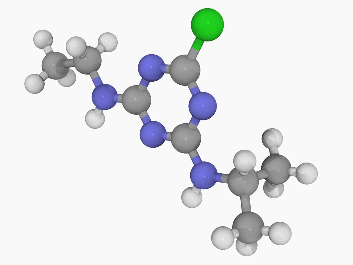 Molecular Structures